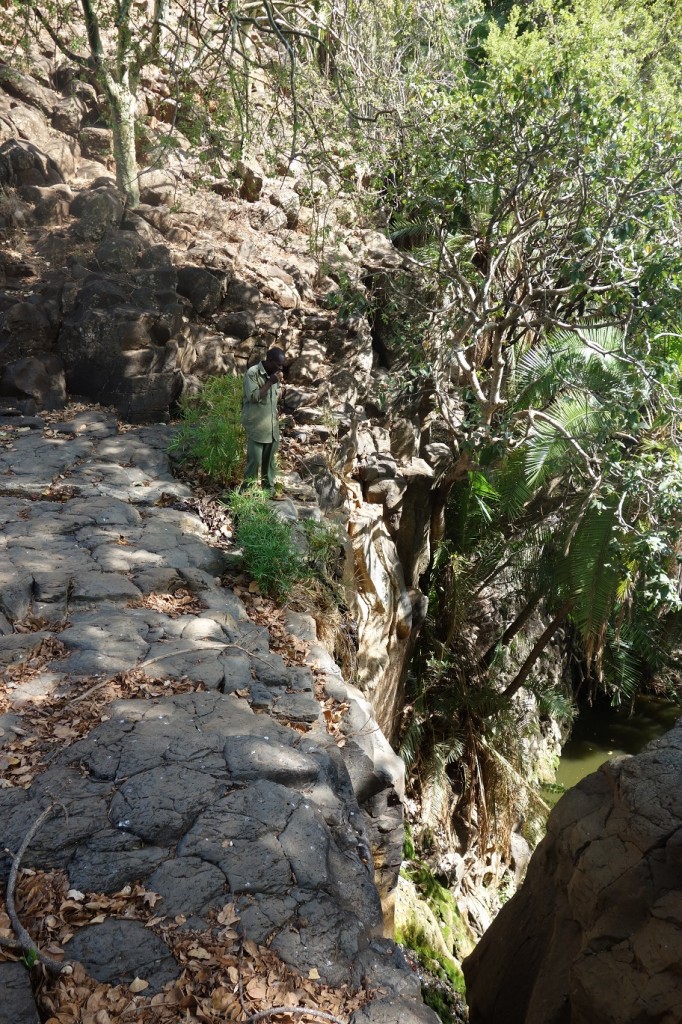 Kithati is standing at the edge of the falls. Notice the basalt rock formations.